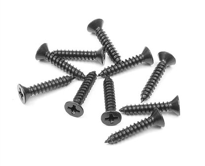 Screw Phillips Ss 3.5X19 (10), X909369