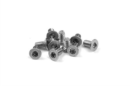 Hex Screw Sfh M2X4 Stainless (10), X903204