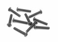 xray-902316-Hex Screw Sh M3X16 (10)